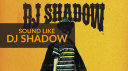 become-an-organ-donor-how-to-sound-like-dj-shadow.jpg