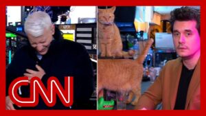 John Mayer goes viral for New Year’s Eve interview live from a cat bar in Japan