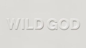 Nick Cave & The Bad Seeds announce âdeeply and joyously infectiousâ new album âWild Godâ