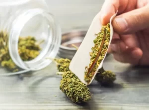 Unlock the Ultimate Smoking Experience: Infuse Your Own Pre-Rolls