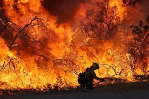 L.A. Fires: Arson Suspect Arrested As Death Toll Rises To 10Â 