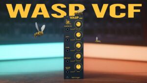 A Wasp, Lemurs, Editors and Mini-Docs – Synth Journal